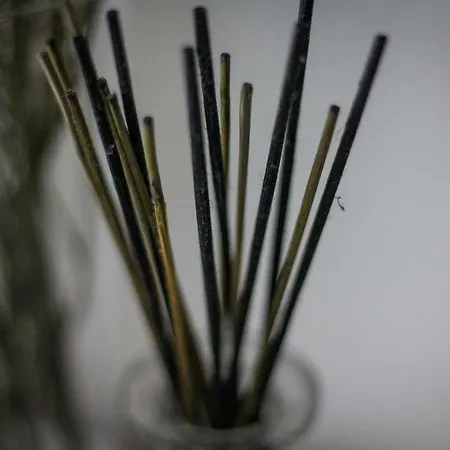 Nocleg ze śniadaniem A Due Passi Dal Lumiere Bolonia