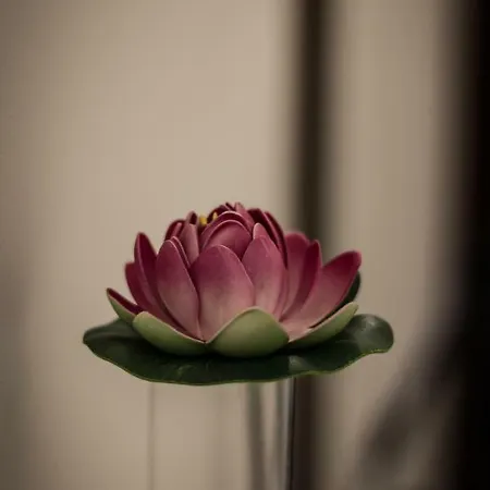 A Due Passi Dal Lumiere * ボローニャ